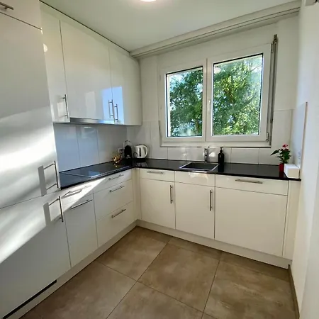 Moderne 3,5 Zi Whg Bei Wil Sg * Rickenbach